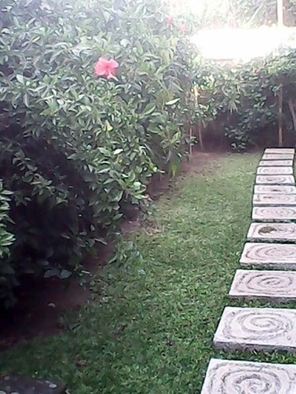 Bali Sari Homestay Amed Extérieur photo