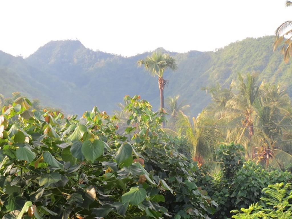 Bali Sari Homestay Amed Extérieur photo